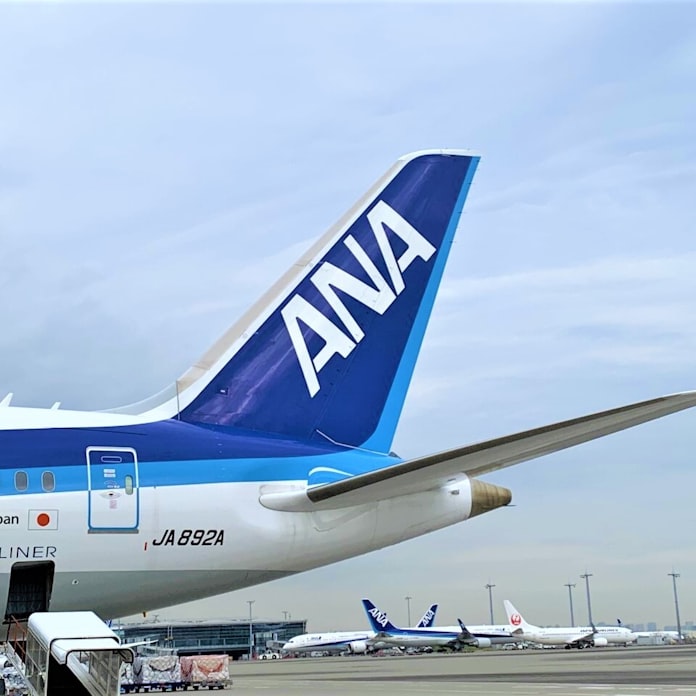 Ana 薄氷の黒字計画 22年3月期最終35億円 日本経済新聞