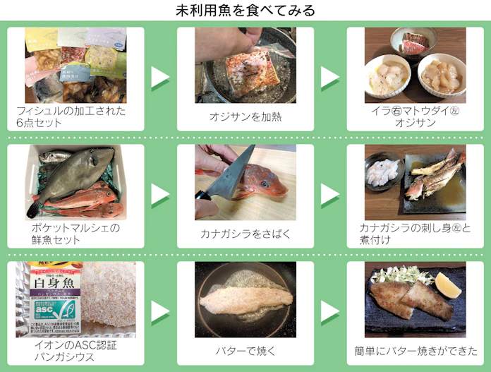 イラ オジサン パンガシウス 未利用魚のうまさ発見 日本経済新聞 イラ オジサン パンガシウス 未利用魚のうまさ発見 日本経済新聞