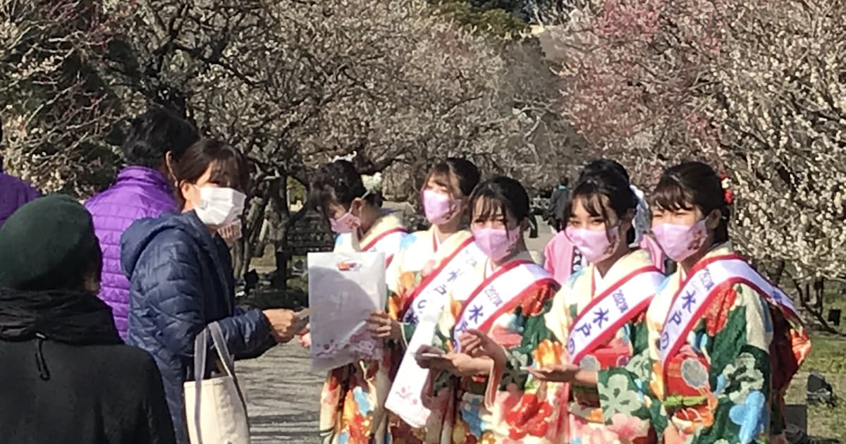 新型コロナ 水戸の梅まつり 来場者59 減 コロナ禍で開幕遅れ響く 日本経済新聞 新型コロナ 水戸の梅まつり 来場者59 減 コロナ禍で開幕遅れ響く 日本経済新聞