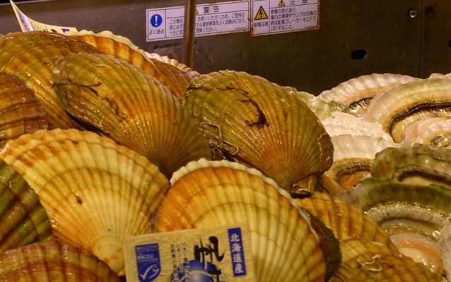 新型コロナ 4月の北海道輸出86 増 自動車部品 ホタテが回復 日本経済新聞 新型コロナ 4月の北海道輸出86 増 自動車部品 ホタテが回復 日本経済新聞