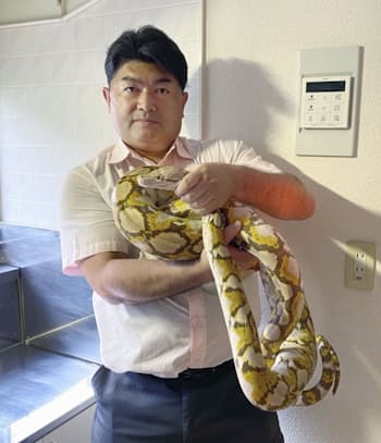 逃げたニシキヘビ捕獲 飼い主アパート屋根裏 16日ぶり 日本経済新聞 逃げたニシキヘビ捕獲 飼い主アパート屋根裏 16日ぶり 日本経済新聞