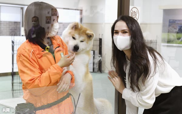 アリーナ ザギトワ のニュース一覧 日本経済新聞 アリーナ ザギトワ のニュース一覧 日本経済新聞