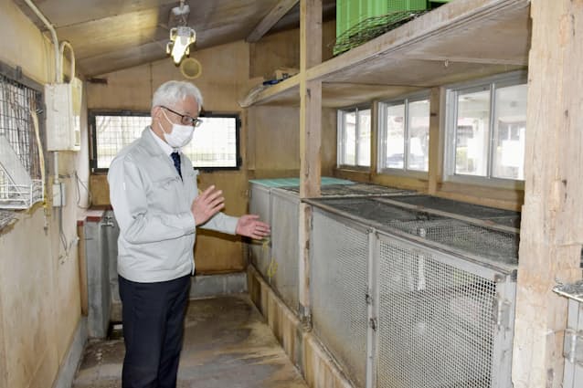 展示動物の生と死見つめて 盛岡の園が安楽死公表 日本経済新聞 展示動物の生と死見つめて 盛岡の園が安楽死公表 日本経済新聞