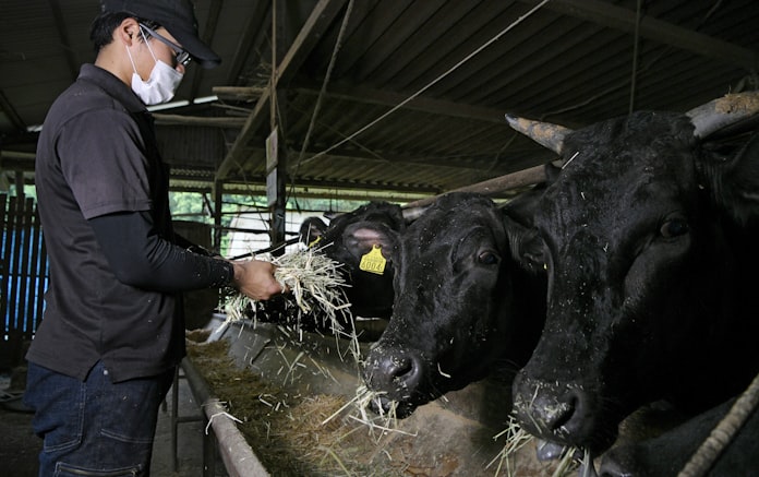焼肉 なにわ黒牛オンラインショップ