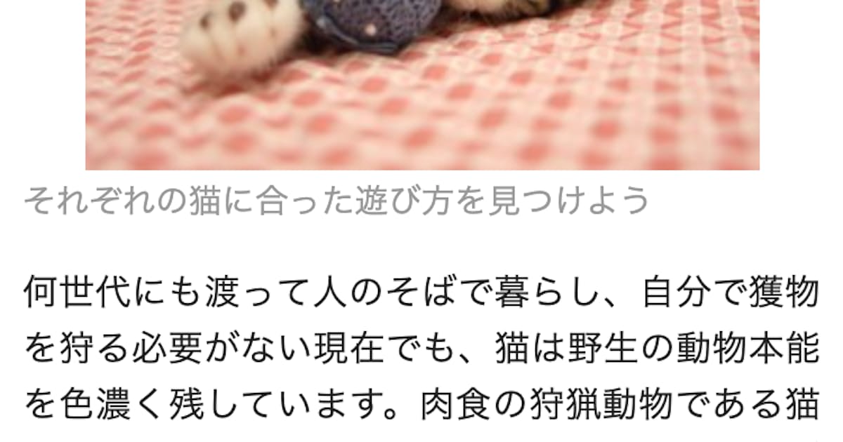 「文脈」で広告配信先探し 脱クッキーで脚光