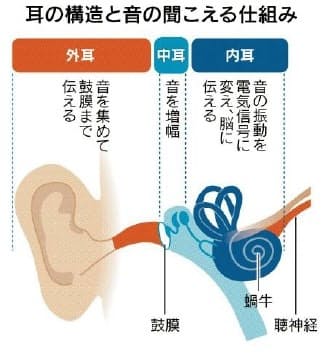 イヤホンで大音量 長時間 耳に負担 難聴リスクも 日本経済新聞 イヤホンで大音量 長時間 耳に負担 難聴リスクも 日本経済新聞