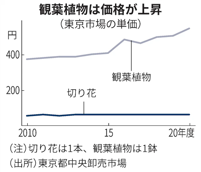 花き販売コロナで明暗 観葉植物5年ぶり増加 日本経済新聞