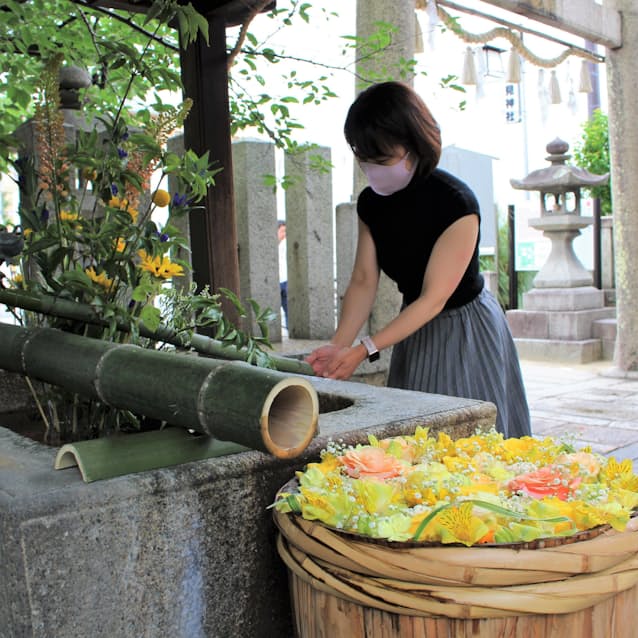 映えスポ 野見神社の花手水 日本経済新聞 映えスポ 野見神社の花手水 日本経済新聞
