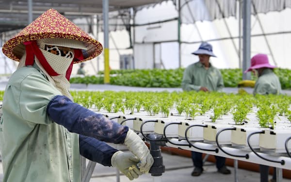 トニー ブレア のニュース一覧 日本経済新聞 トニー ブレア のニュース一覧 日本経済新聞