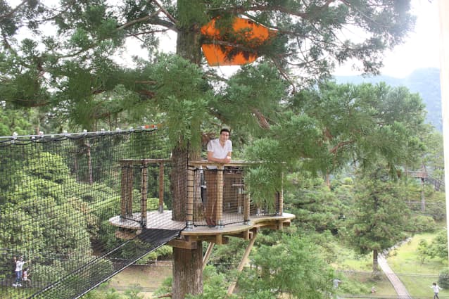 奈良 十津川村の 空中の村 ツリーハウスで森林浴 日本経済新聞 奈良 十津川村の 空中の村 ツリーハウスで森林浴 日本経済新聞