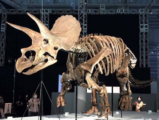 ソニーg 横浜で恐竜展 最新av技術で白亜紀後期を再現 日本経済新聞 ソニーg 横浜で恐竜展 最新av技術で白亜紀後期を再現 日本経済新聞