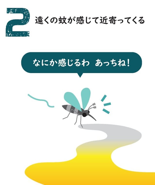 汗かきは蚊にモテモテ 血を吸うメスには注意 日本経済新聞 汗かきは蚊にモテモテ 血を吸うメスには注意 日本経済新聞