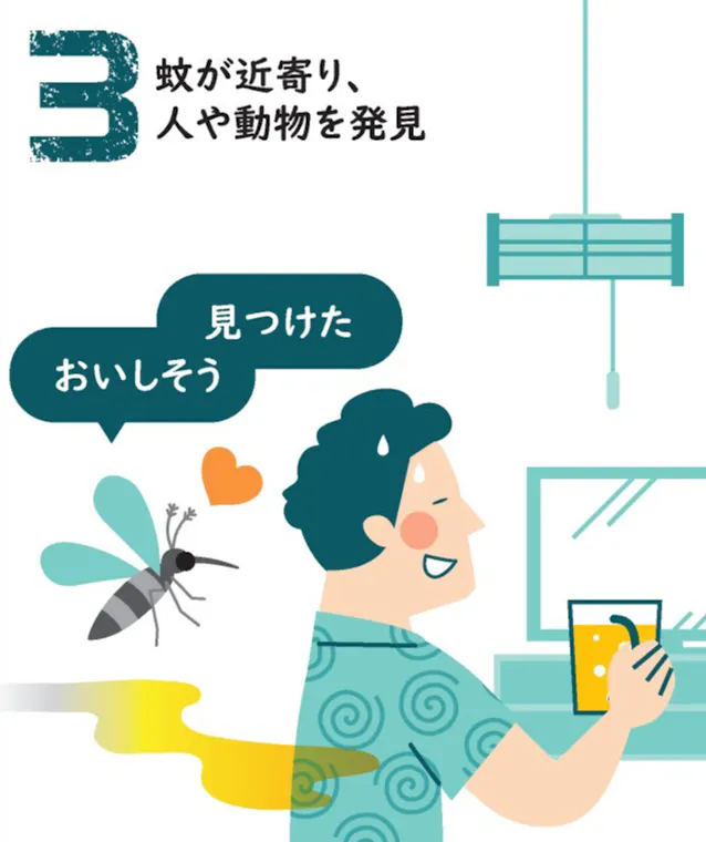 汗かきは蚊にモテモテ 血を吸うメスには注意 日本経済新聞 汗かきは蚊にモテモテ 血を吸うメスには注意 日本経済新聞