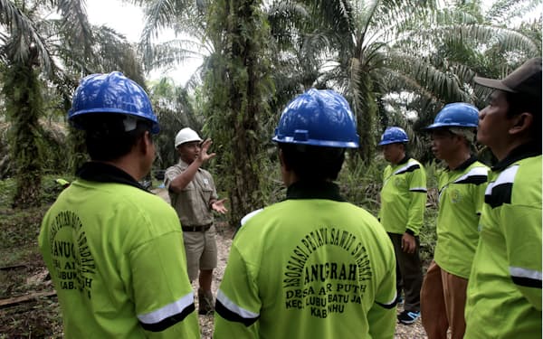 植林方法を指導する花王のパーム油調達先のアジアン・アグリの指導員（インドネシア・スマトラ島）