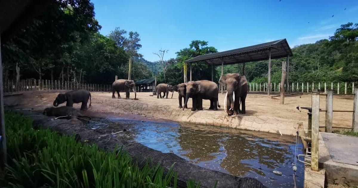 Jtb 夏休みの自由研究向けオンラインツアー 日本経済新聞 Jtb 夏休みの自由研究向けオンラインツアー 日本経済新聞