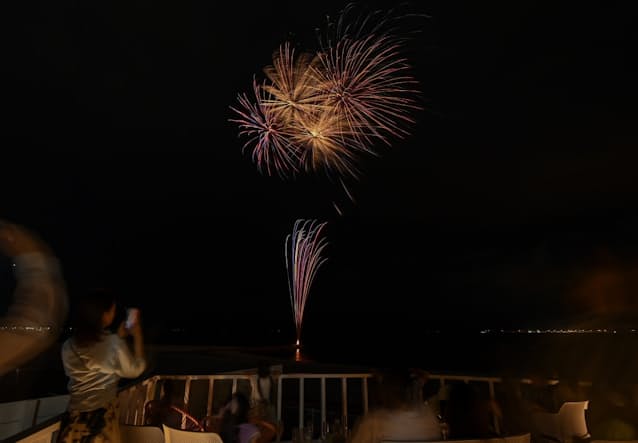 花火 夜空を彩る 黒い星 ビジュアルで迫る現場 日本経済新聞 花火 夜空を彩る 黒い星 ビジュアルで迫る現場 日本経済新聞