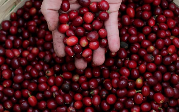 コーヒーの産地であるブラジル南部は歴史的な寒波にみまわれている（サンパウロ）＝ロイター
