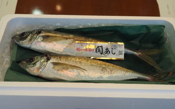 岬アジ 岬サバの愛媛県認定ブランド返上 三崎漁協 日本経済新聞 岬アジ 岬サバの愛媛県認定ブランド返上 三崎漁協 日本経済新聞