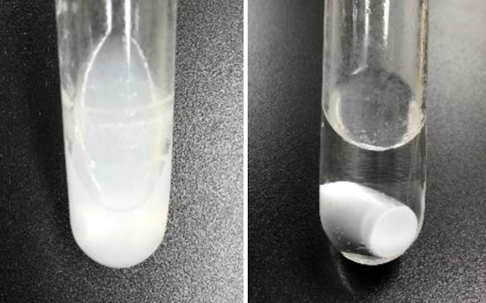 空気中のco2回収 10倍速く 都立大が吸収物質発見 日本経済新聞