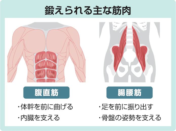 ポッコリおなかに 足上げ腹筋 谷本先生の筋トレ講座 日本経済新聞 ポッコリおなかに 足上げ腹筋 谷本先生の筋トレ講座 日本経済新聞