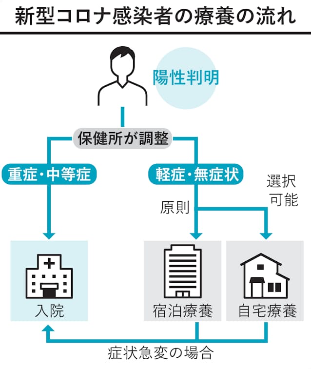 新型コロナ 抗体カクテル療法やecmo 知っておきたいコロナ治療 日本経済新聞 新型コロナ 抗体カクテル療法やecmo 知っておきたいコロナ治療 日本経済新聞