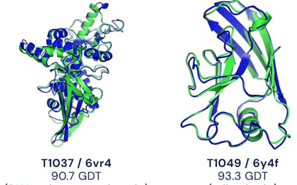 ディープマインドがAlphaFold2の公開ページに示しているタンパク質の立体構造