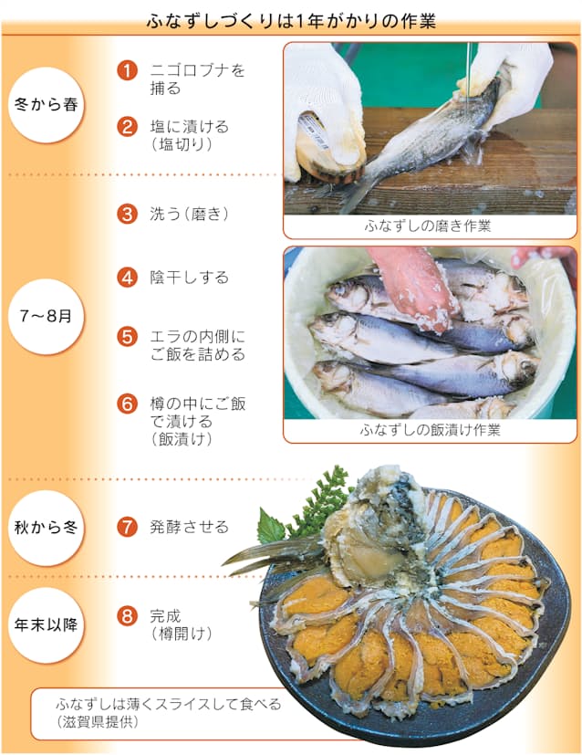 滋賀伝統の発酵食品 ふなずし 漬けてみた 日本経済新聞 滋賀伝統の発酵食品 ふなずし 漬けてみた 日本経済新聞