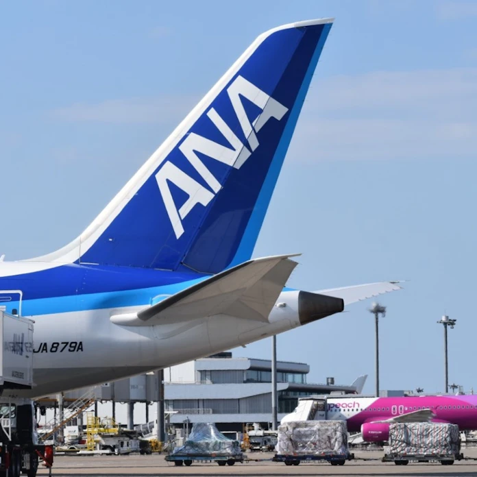新型コロナ Ana 国内12路線減便 観光路線は増強も 日本経済新聞