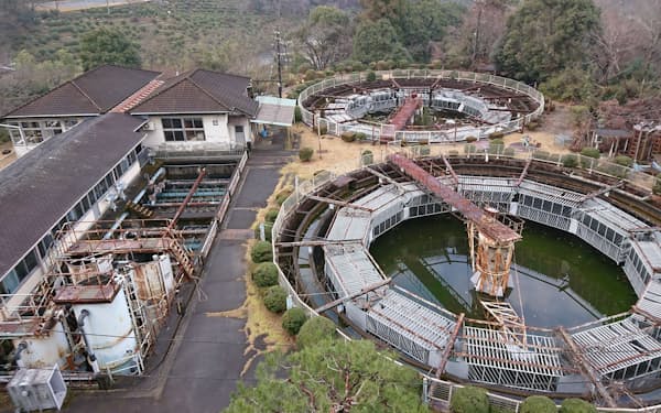 新しい宿泊施設では旧九条山浄水場跡の沈殿池をプールなどとして活用する