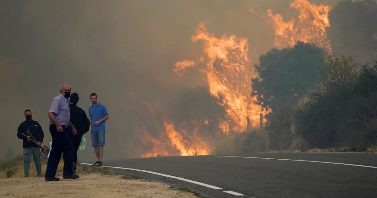 Ft スペインが砂漠化 オリーブの集約栽培も元凶 日本経済新聞 Ft スペインが砂漠化 オリーブの集約栽培も元凶 日本経済新聞