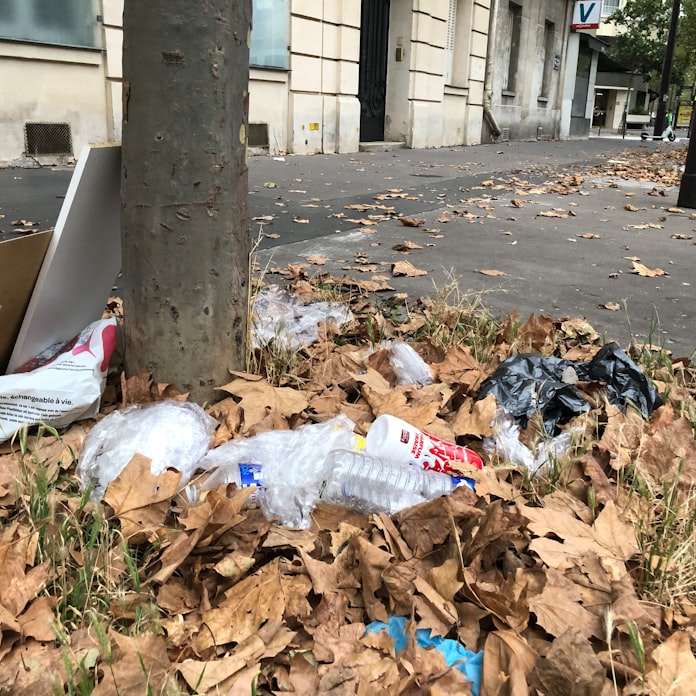 汚れたパリ 花の都で続くゴミとの戦い 日本経済新聞 汚れたパリ 花の都で続くゴミとの戦い 日本経済新聞