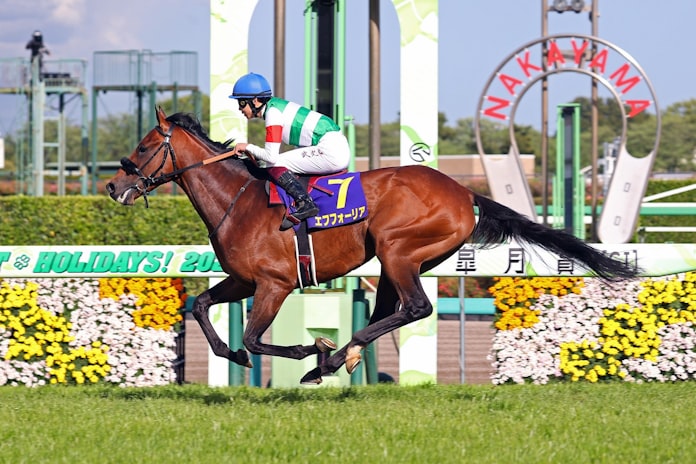 G で響く生のファンファーレ 競馬場で初演奏に喜び 日本経済新聞 G で響く生のファンファーレ 競馬場で初演奏に喜び 日本経済新聞