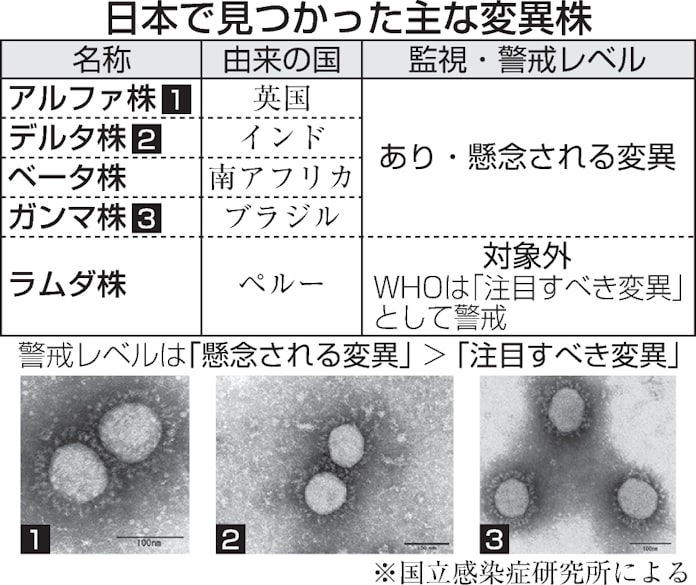 新型コロナ デルタ アルファ ミュー よくわかるコロナ変異型 日本経済新聞 新型コロナ デルタ アルファ ミュー よくわかるコロナ変異型 日本経済新聞