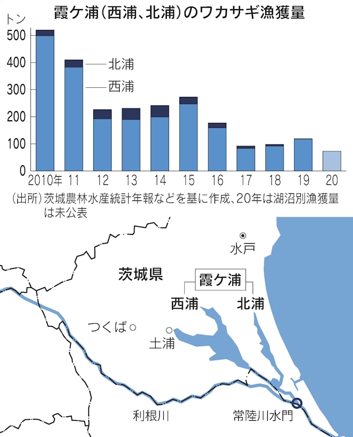 霞ケ浦のワカサギ不漁 謎探る 漁獲量10年で7分の1に 日本経済新聞 霞ケ浦のワカサギ不漁 謎探る 漁獲量10年で7分の1に 日本経済新聞