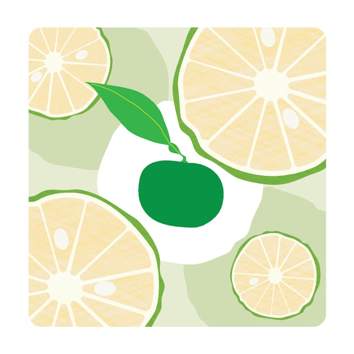 プライムミニスター トヨトミ 作家 万城目学 日本経済新聞 プライムミニスター トヨトミ 作家 万城目学 日本経済新聞