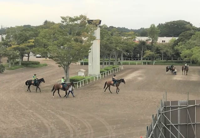美浦トレセン 新スタンド11月完成 見学はしばらく先に 日本経済新聞 美浦トレセン 新スタンド11月完成 見学はしばらく先に 日本経済新聞