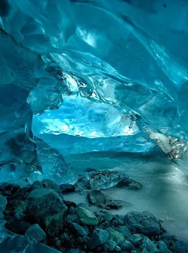 土地を失った先住民の歴史 アラスカの氷河を襲う温暖化 救いはザトウクジラ復活 Nikkei Style 土地を失った先住民の歴史 アラスカの氷河を襲う温暖化 救いはザトウクジラ復活 Nikkei Style