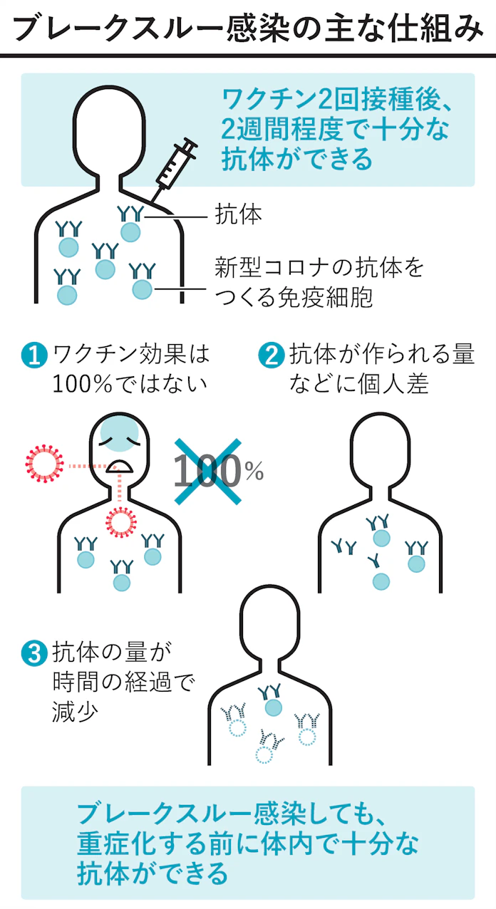 新型コロナ 2回接種しても 知っておきたいブレークスルー感染 日本経済新聞 新型コロナ 2回接種しても 知っておきたいブレークスルー感染 日本経済新聞