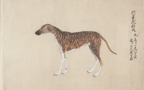 犬と日本人 4 伊藤若冲 百犬図 日本経済新聞 犬と日本人 4 伊藤若冲 百犬図 日本経済新聞