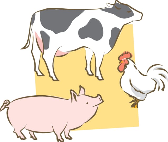 塩少々 消費期限 正確に言える 料理の基本クイズ 日本経済新聞 塩少々 消費期限 正確に言える 料理の基本クイズ 日本経済新聞