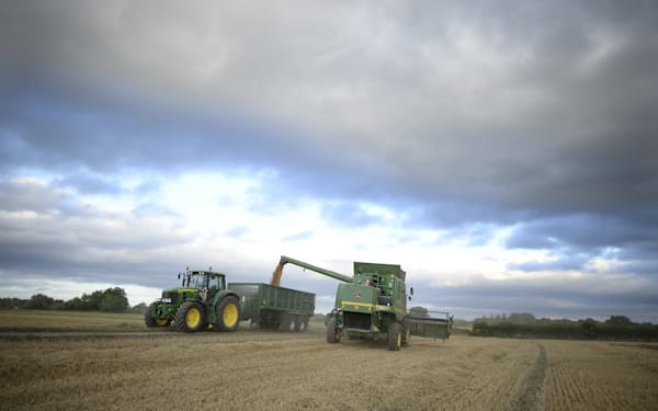 英政府は穀物の遺伝子研究にかかわる規制の緩和を進める＝ロイター