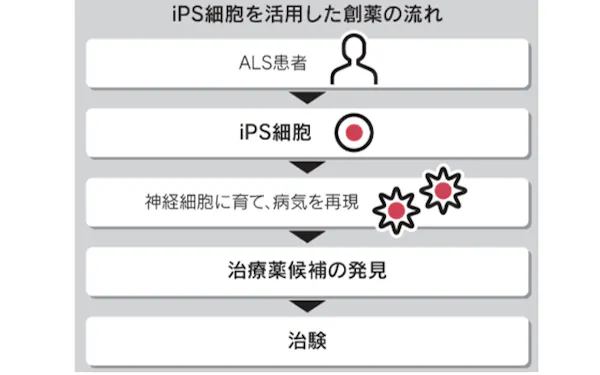 Ips細胞 のニュース一覧 日本経済新聞