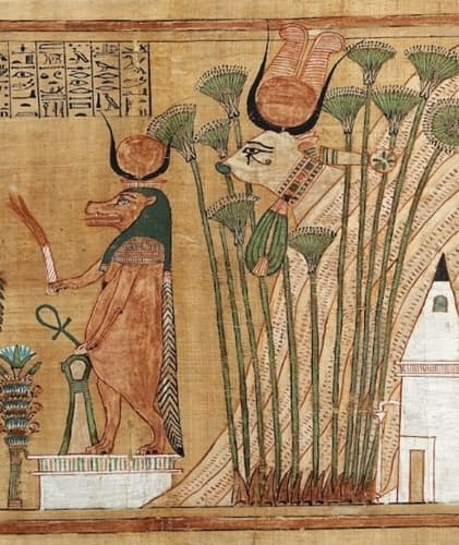 奉納品だった動物のミイラ ネコ神はなぜ誕生 古代エジプト 動物の神々の秘密 Nikkei Style 奉納品だった動物のミイラ ネコ神はなぜ誕生 古代エジプト 動物の神々の秘密 Nikkei Style