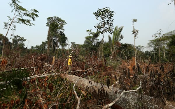 生態系の保全を軽視する企業は淘汰される時代に（ブラジルで荒廃した森林）=ロイター