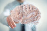 写真はイメージ=123RF 写真はイメージ=123RF