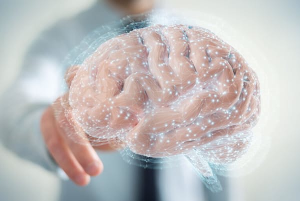 写真はイメージ=123RF 写真はイメージ=123RF