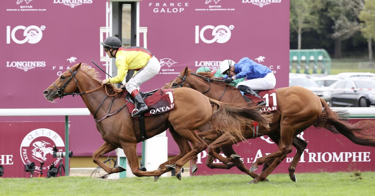 過酷な条件重なり日本馬敗退 凱旋門賞制覇の道遠く 日本経済新聞 過酷な条件重なり日本馬敗退 凱旋門賞制覇の道遠く 日本経済新聞