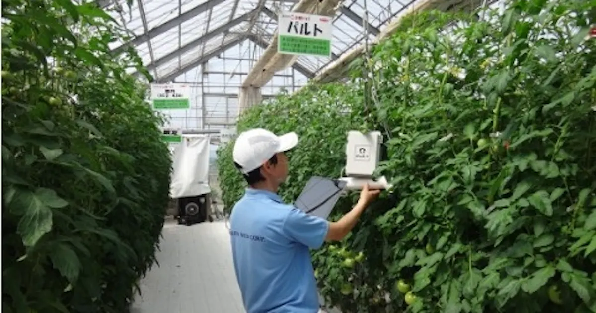 サカタのタネ スマート農業実験 横浜市の事業に選定 日本経済新聞 サカタのタネ スマート農業実験 横浜市の事業に選定 日本経済新聞