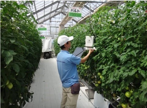 サカタのタネ スマート農業実験 横浜市の事業に選定 日本経済新聞 サカタのタネ スマート農業実験 横浜市の事業に選定 日本経済新聞