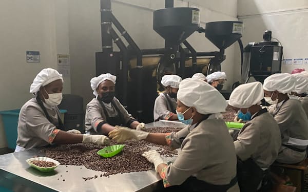 コーヒー豆を選別するハデロコーヒーの従業員（アディスアベバ）